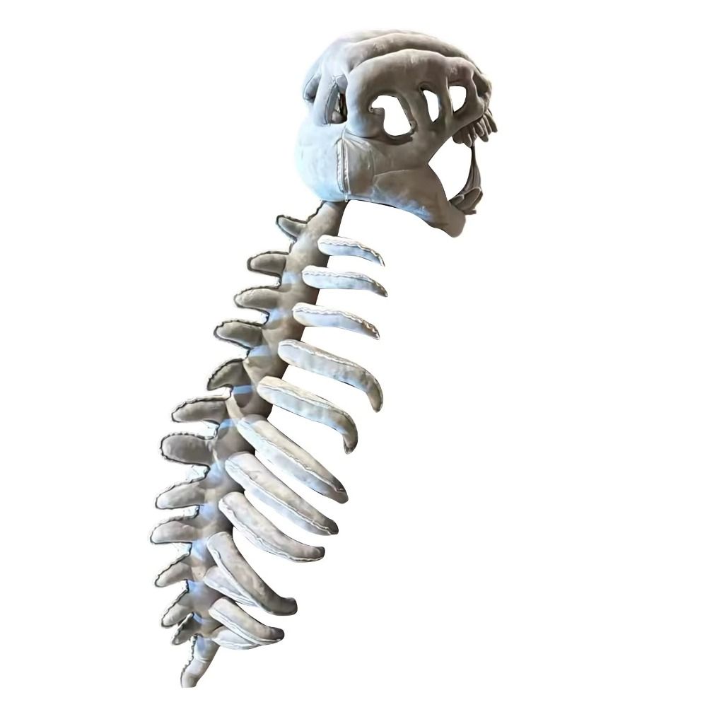 3D Dinosaur Skeleton Toys Funn – Baby Products Unique Bewertung und Preis